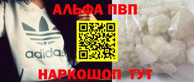 a pvp Новозыбков