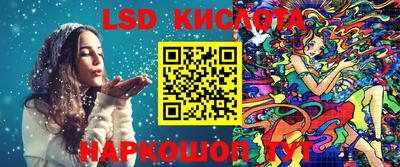 a pvp Новозыбков