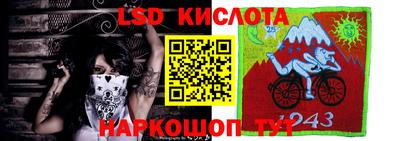 a pvp Новозыбков