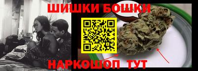 МДПВ Новодвинск