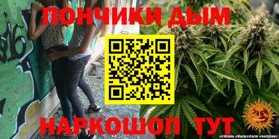 a pvp Новозыбков