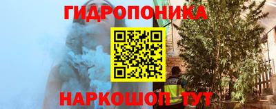 a pvp Новозыбков