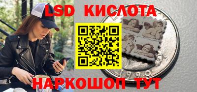 МДПВ Новодвинск