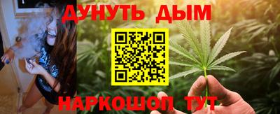 a pvp Новозыбков
