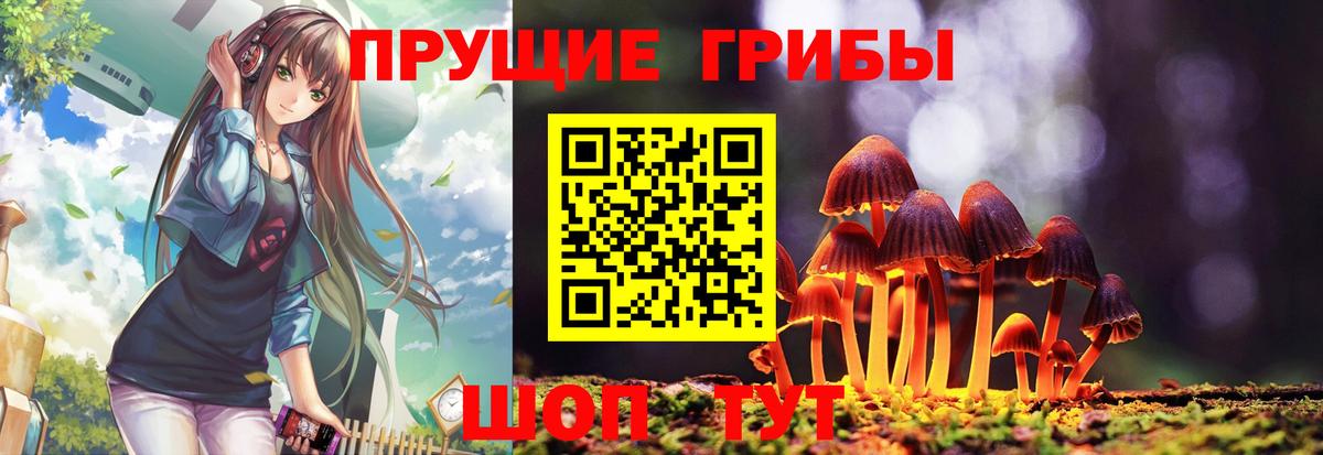 Псилоцибиновые грибы Psilocybe Аргун